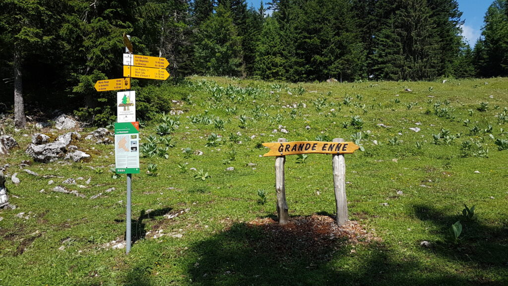 Monvtt Jura Nyon 3
