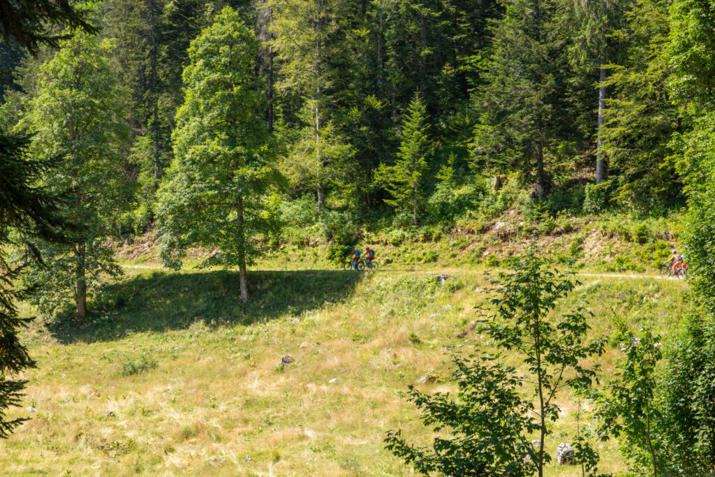 Geführte Mountainbike-Tour