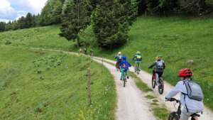 Mountain Bike School – Ages 5 to 15