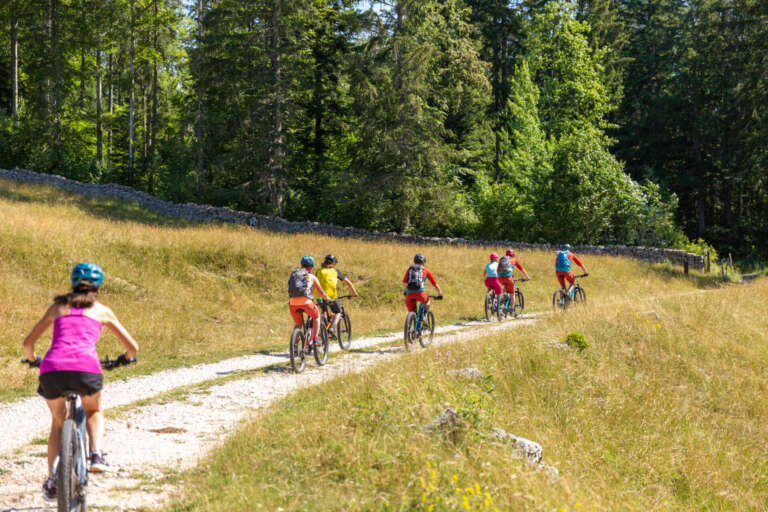 Tour guidé VTT ou VTT Electrique – 3 heures