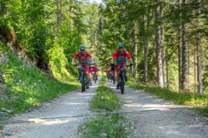 Guided mountain bike or electric mountain bike tour – 3 hours