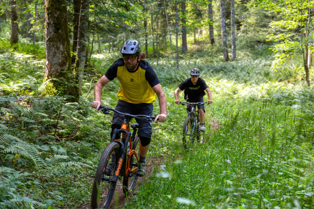 Guided mountain bike or electric mountain bike tour (full day)
