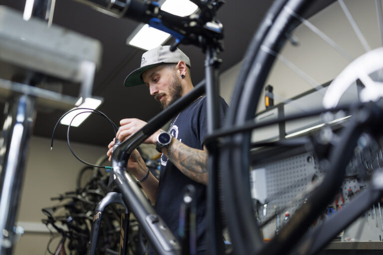 E-BIKE-Paket: Citybike & Trekkingbike