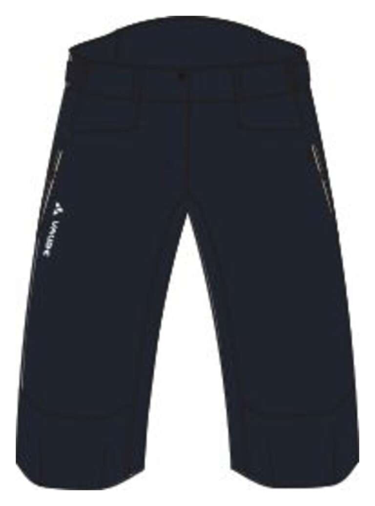 Women's Moab Shorts IV