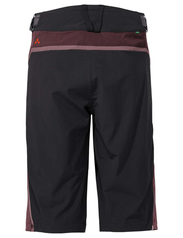 Men's Moab Shorts V