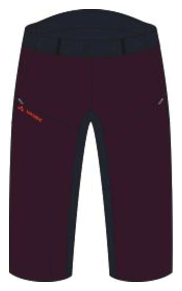 Men's Moab Shorts V